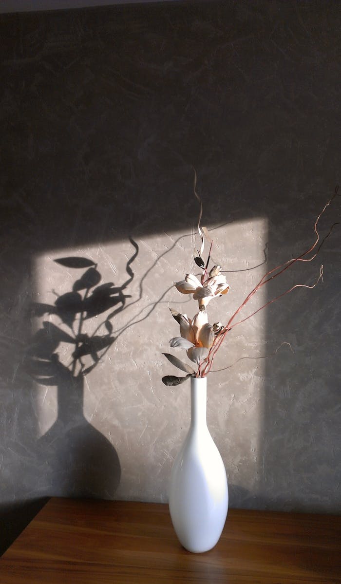 services-09 A white ceramic vase with dried branches and shadows cast by sunlight on a textured wall.